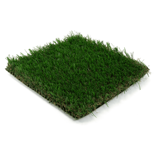 Artificial Grass